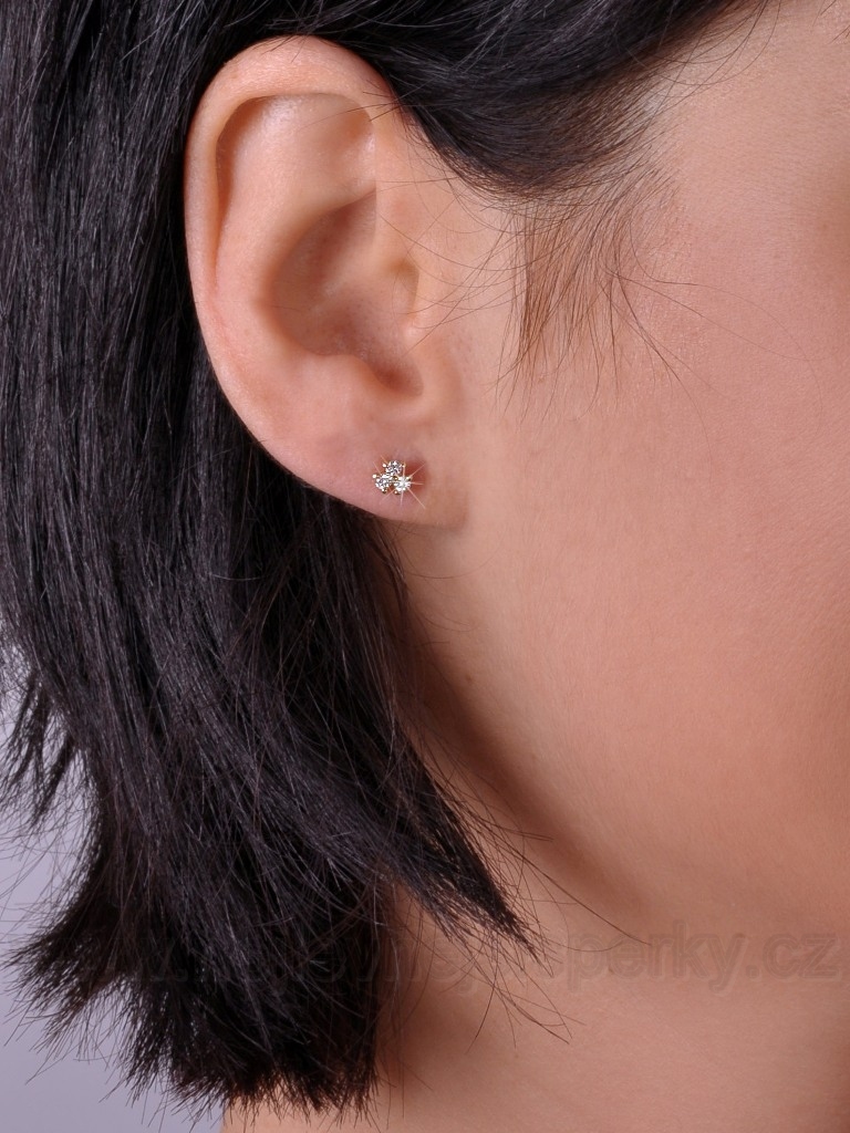 Briliantové náušnice Briline 100333