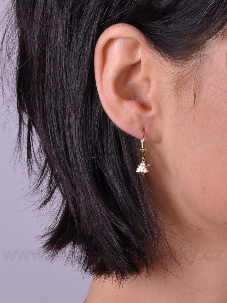 Krásné náušnice s diamanty Briline 40395