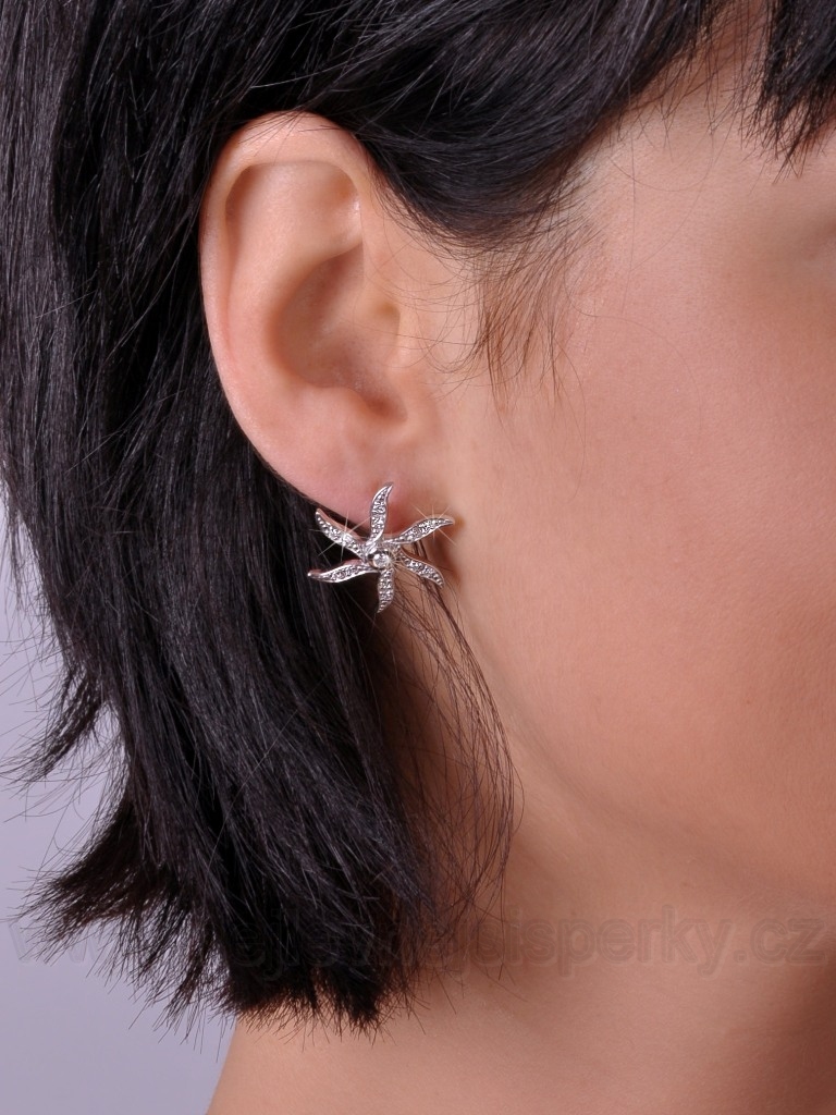 Náušnice s brilianty Briline 36807