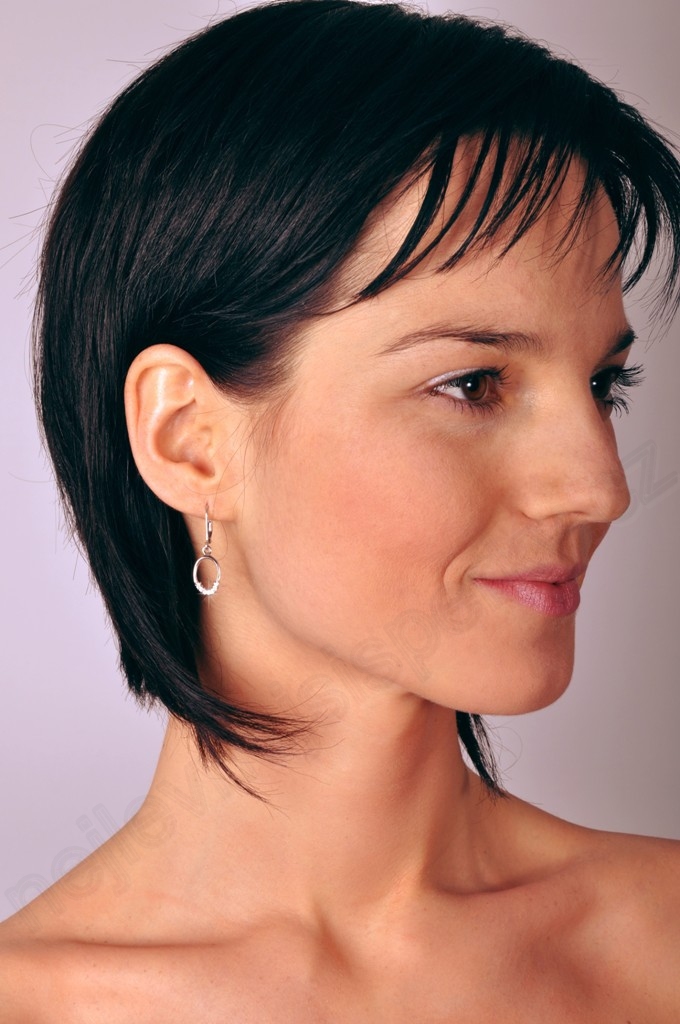 Stříbrné náušnice se zirkony Briline sag517