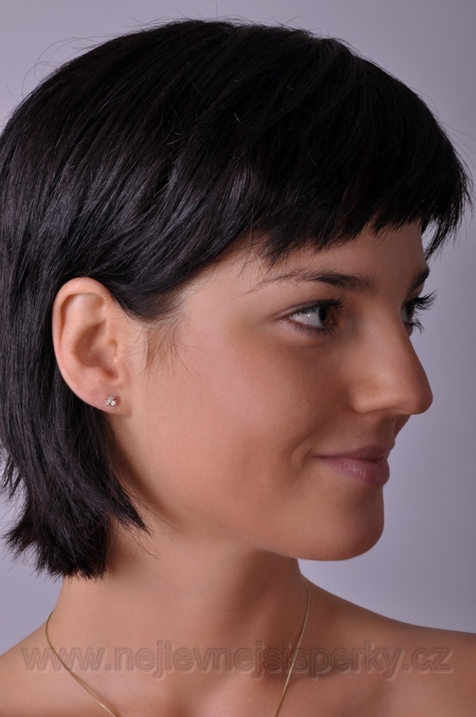 Briliantové náušnice Briline 100333