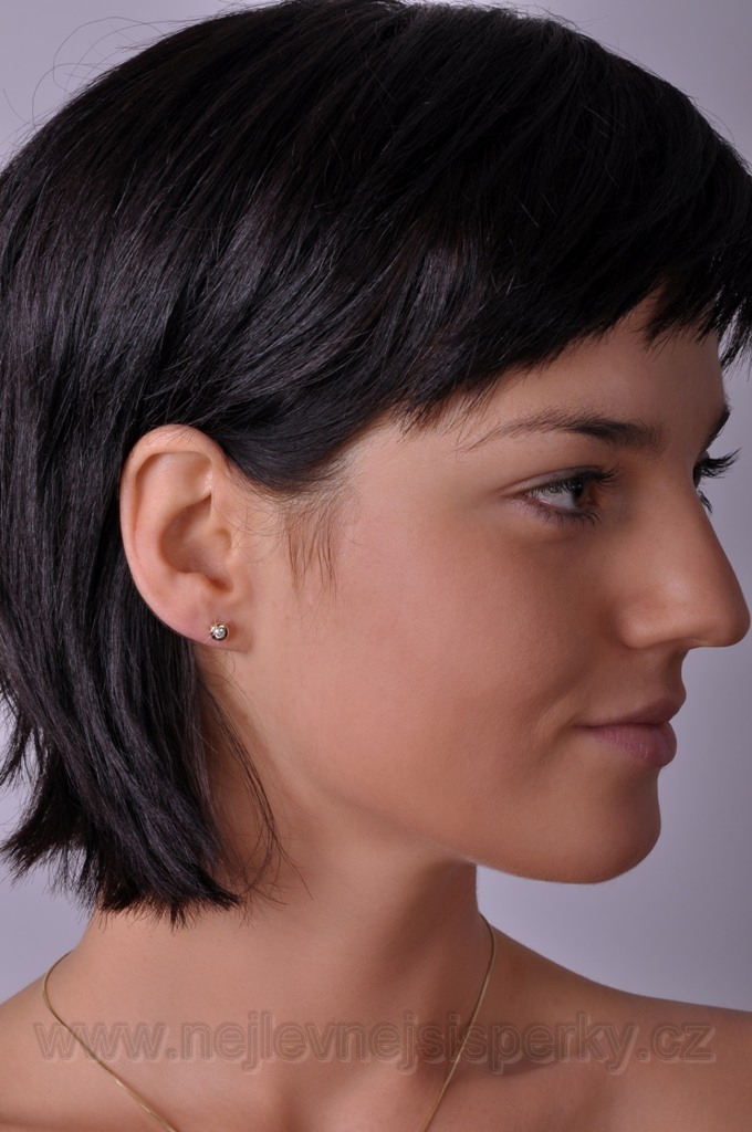 Náušnice s diamantem Briline 100635