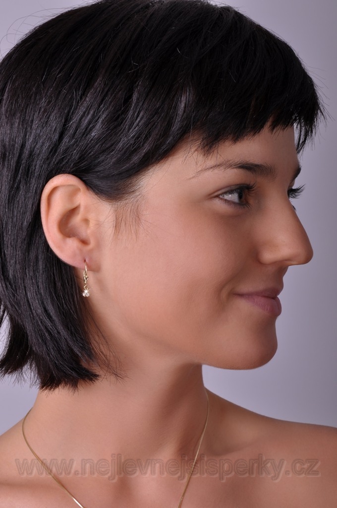 Briliantové náušnice Briline 100332