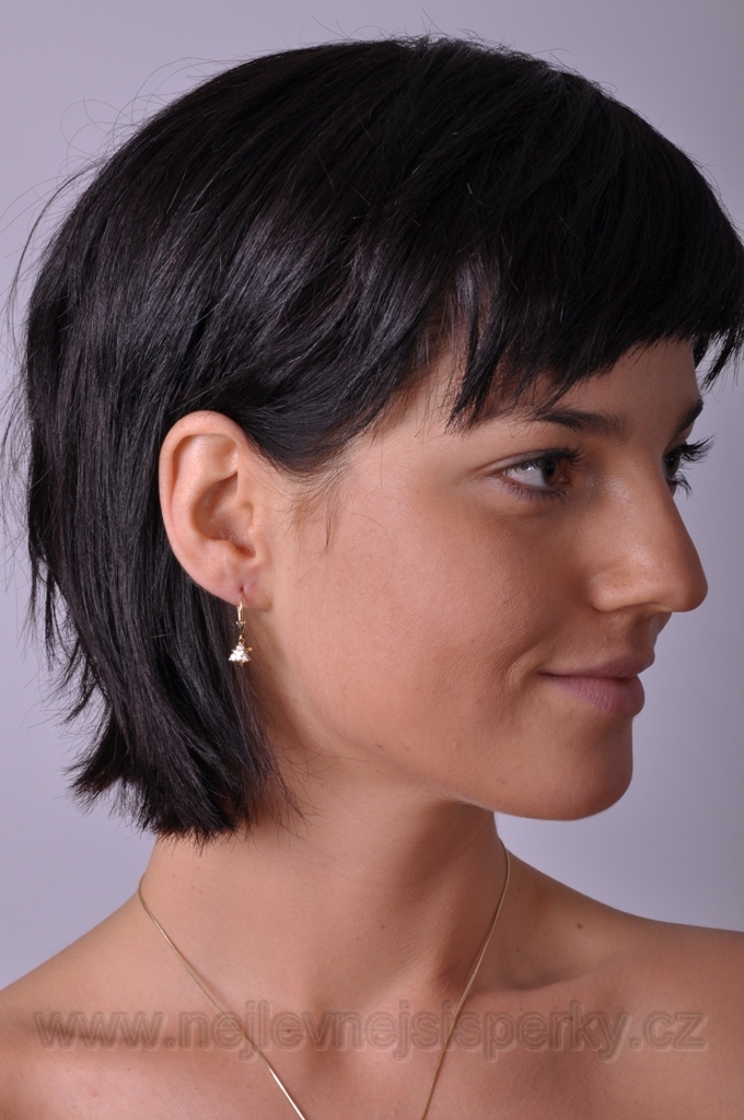 Krásné náušnice s diamanty Briline 40395