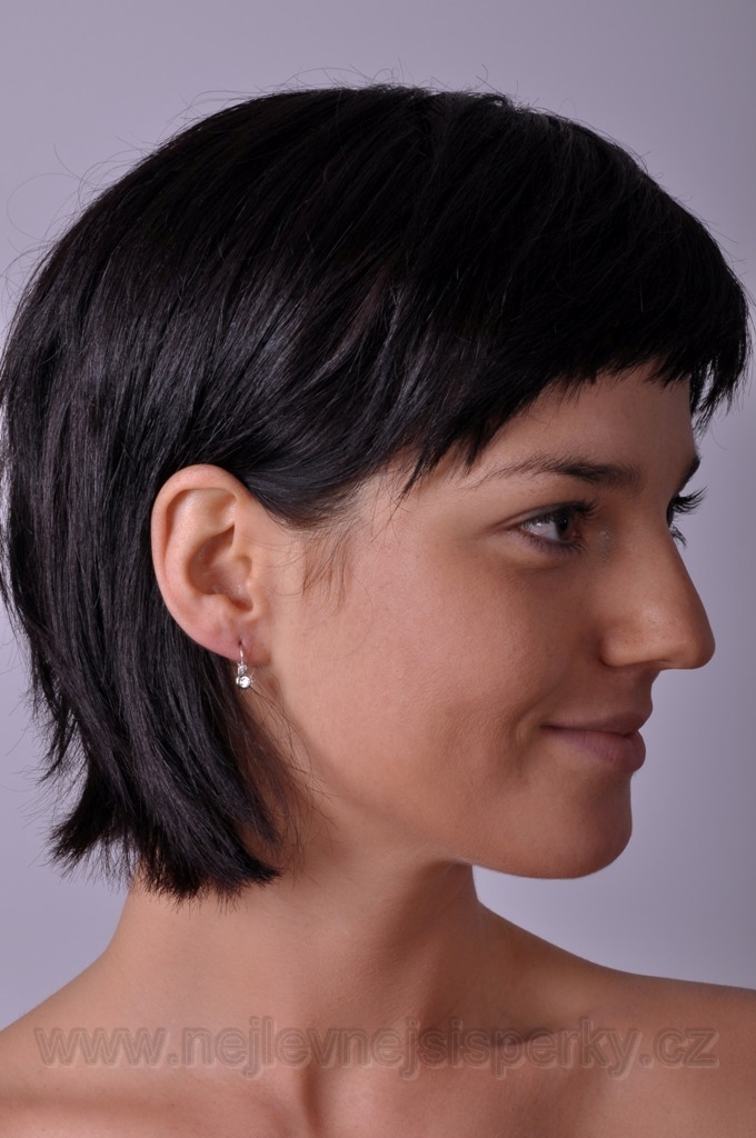 Náušnice s brilianty Briline 6107